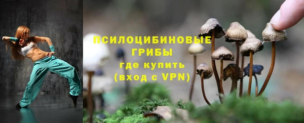 скорость Новозыбков