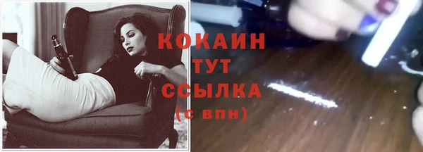 apvp Новодвинск