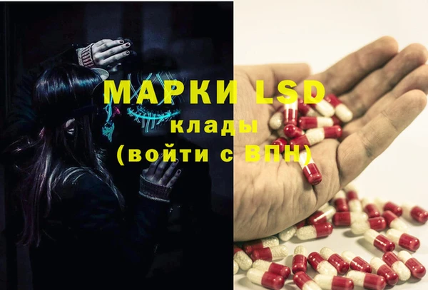 гидропоника Алзамай