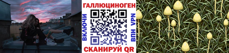 где найти   Советская Гавань  Галлюциногенные грибы Magic Shrooms 