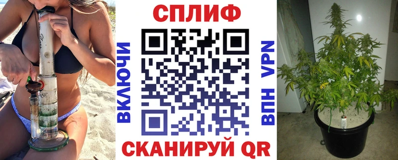 Бошки Шишки семена  Советская Гавань 